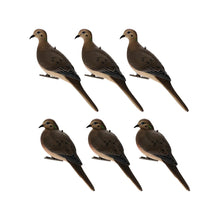 Avian-X AXP Full-Body Dove Decoys (6-Pack)