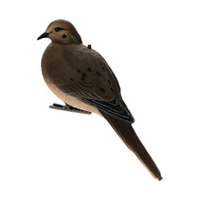 Avian-X AXP Full-Body Dove Decoys (6-Pack)