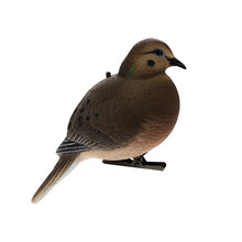 Avian-X AXP Full-Body Dove Decoys (6-Pack)