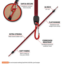 Performance Tool 36-Inch Flat Bungee with Carabiner