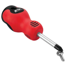 Performance Tool Screwdriver Set with Rack (39-Piece)