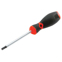 Performance Tool 4" Star Screwdriver with Magnetic Tip - T30