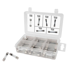 Performance Tool Assorted AGC Glass Fuse Assortment (5A to 30A) in a Clear Plastic Case (60 Pieces)