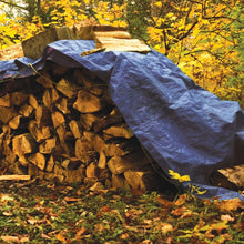 Performance Tool Blue Standard Duty Tarp: 6' x 8'