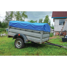 Performance Tool Blue Standard Duty Tarp: 10' x 20'