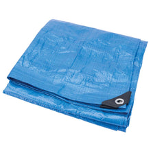 Performance Tool Blue Standard Duty Tarp: 26' x 40'