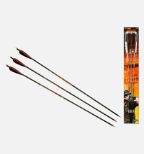 Beeman 31" Carbon Arrow Kit (3 Arrows in Pkg.)
