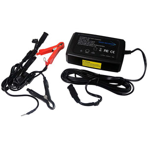 Bright Way Group 12 Volt Desulfating Smart Charger/Maintainer with Lithium Mode