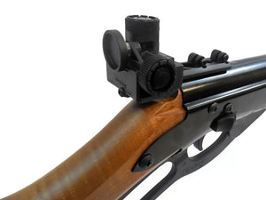 Daisy Avanti 499 Champion Competition Rifle