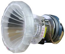 DS18 Pro 1.75" RGB Driver with Crossover & Horn 700 Watts (each)