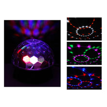 Nippon Zebra LED Magic Ball Light